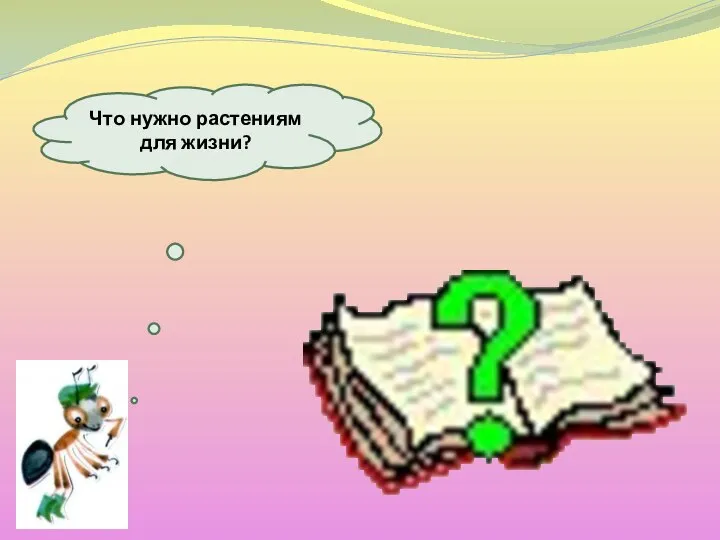 Что нужно растениям для жизни?