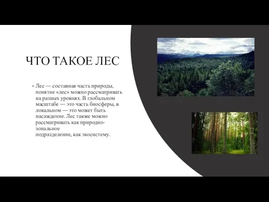 ЧТО ТАКОЕ ЛЕС Лес — составная часть природы, понятие «лес» можно рассматривать