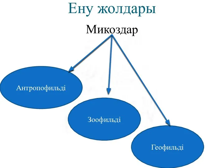 Ену жолдары Микоздар Антропофильді Зоофильді Геофильді