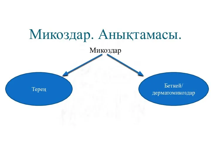 Микоздар. Анықтамасы. Микоздар Терең Беткей/ дерматомикоздар