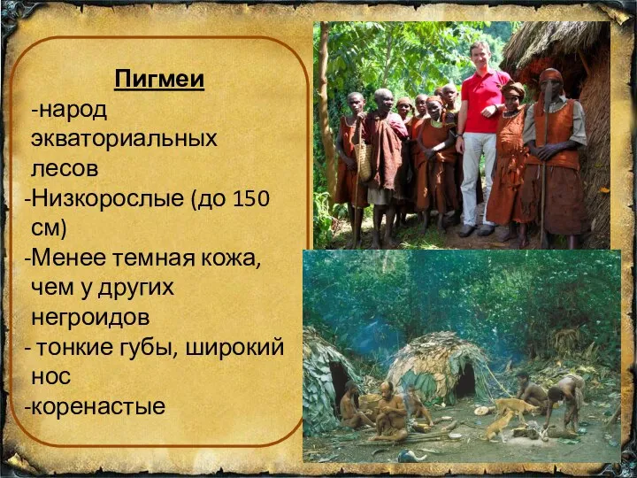 Пигмеи -народ экваториальных лесов Низкорослые (до 150 см) Менее темная кожа, чем