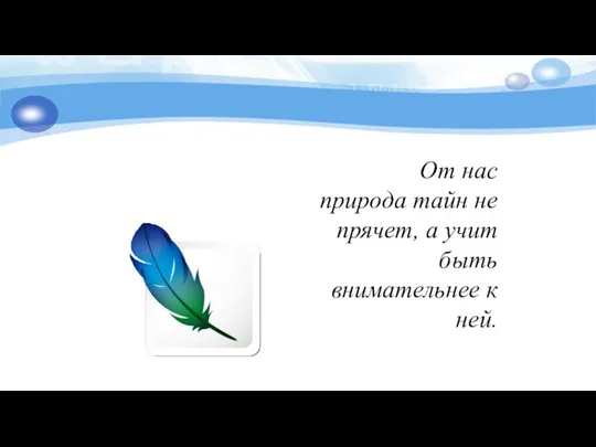 От нас природа тайн не прячет, а учит быть внимательнее к ней.