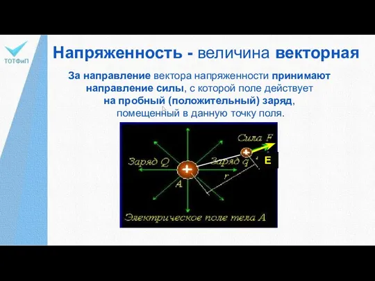 Напряженность - величина векторная За направление вектора напряженности принимают направление силы, с