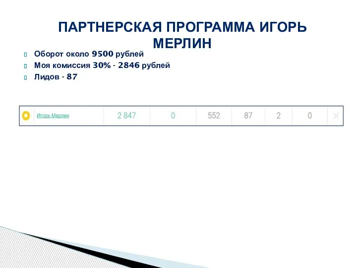Оборот около 9500 рублей Моя комиссия 30% - 2846 рублей Лидов -