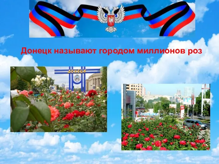 Донецк называют городом миллионов роз