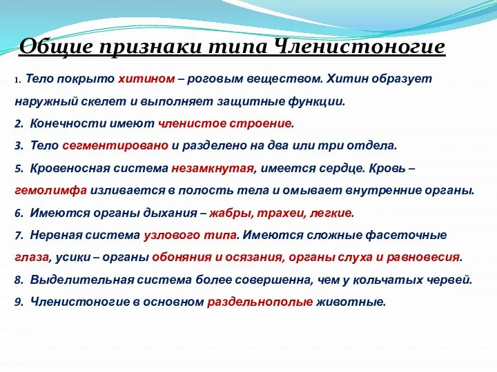 Общие признаки типа Членистоногие 1. Тело покрыто хитином – роговым веществом. Хитин