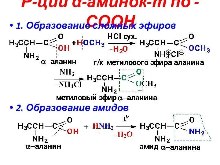 Р-ции α-аминок-т по -СООН 1. Образование сложных эфиров 2. Образование амидов