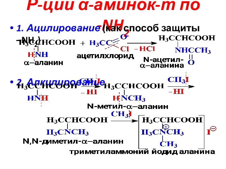 Р-ции α-аминок-т по -NH2 1. Ацилирование (как способ защиты –NH2) 2. Алкилирование