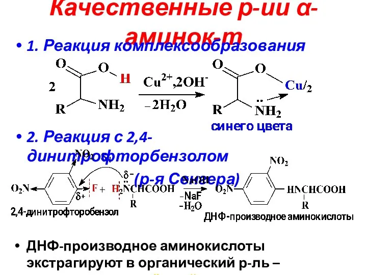 Качественные р-ии α-аминок-т 1. Реакция комплексообразования 2. Реакция с 2,4-динитрофторбензолом (р-я Сенгера)
