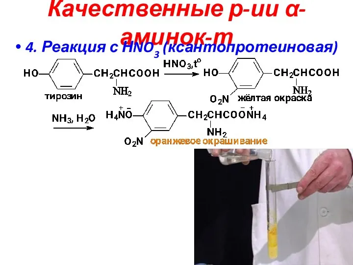Качественные р-ии α-аминок-т 4. Реакция с НNO3 (ксантопротеиновая)