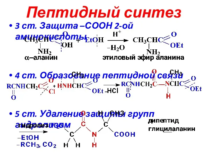Пептидный синтез 3 ст. Защита –СООН 2-ой аминокислоты 4 ст. Образование пептидной