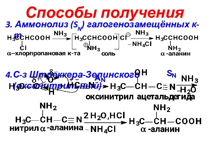 Способы получения 3. Аммонолиз (SN) галогенозамещённых к-т 4.С-з Штреккера-Зелинского(оксинитрильный)