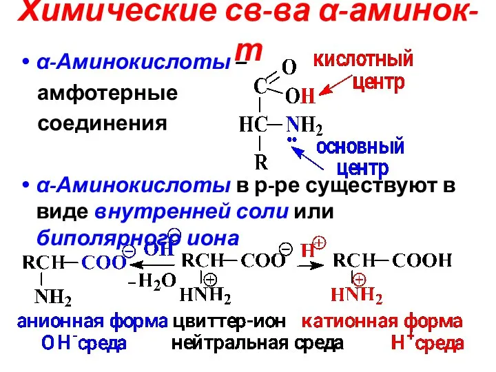 Химические св-ва α-аминок-т α-Аминокислоты – амфотерные соединения α-Аминокислоты в р-ре существуют в