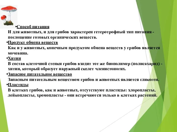 Способ питания И для животных, и для грибов характерен гетеротрофный тип питания