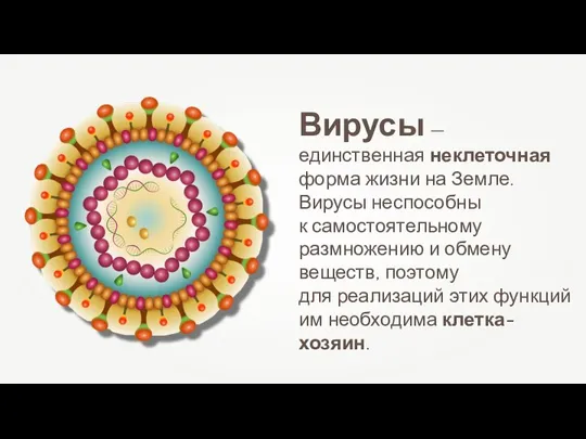 Вирусы — единственная неклеточная форма жизни на Земле. Вирусы неспособны к самостоятельному