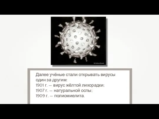 Dr Graham Beards Далее учёные стали открывать вирусы один за другим: 1901