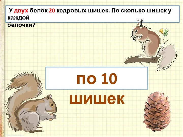 У двух белок 20 кедровых шишек. По сколько шишек у каждой белочки? по 10 шишек