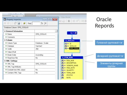 Oracle Repords Головной групповой тэг Дочерний групповой тэг Элементы дочерней группы