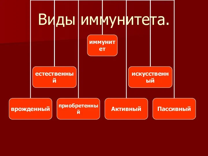 Виды иммунитета.