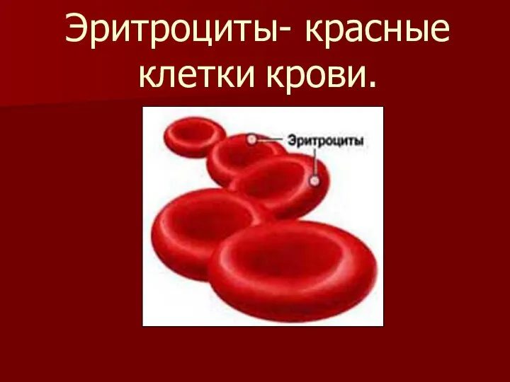 Эритроциты- красные клетки крови.