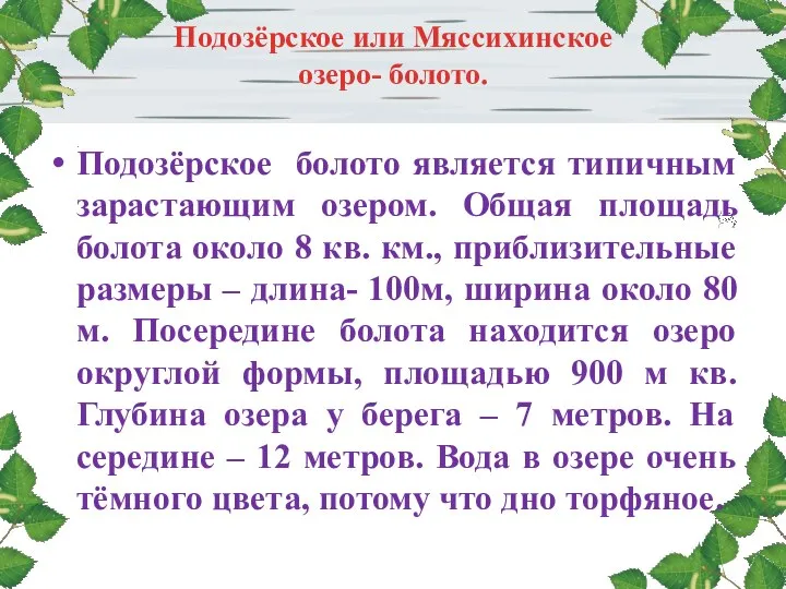 Подозёрское или Мяссихинское озеро- болото. Подозёрское болото является типичным зарастающим озером. Общая