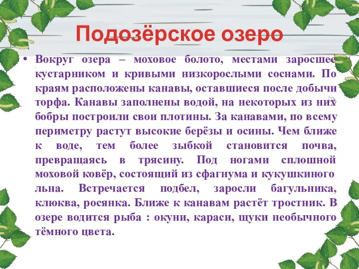 Подозёрское озеро Вокруг озера – моховое болото, местами заросшее кустарником и кривыми