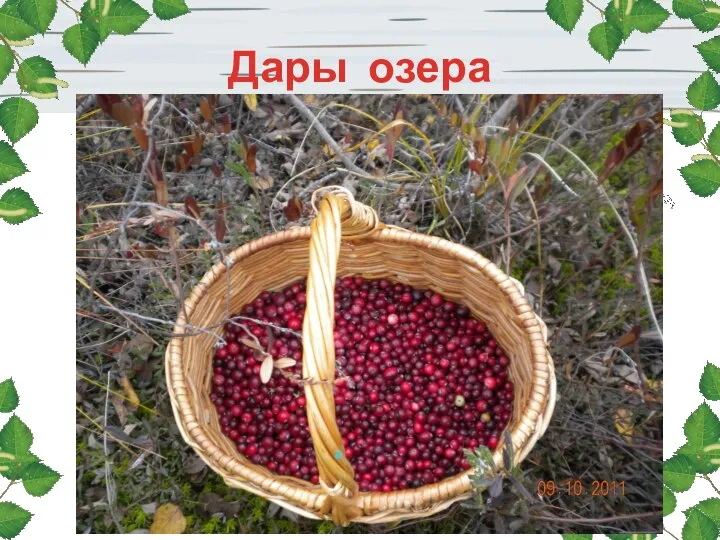 Дары озера