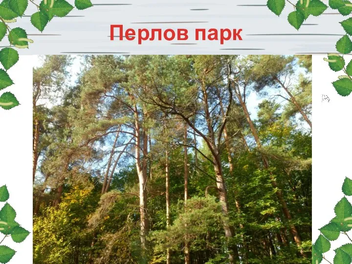 Перлов парк