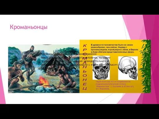 Кроманьонцы Кроманьонцы — общее название ранних представителей современного человека, которые появились значительно