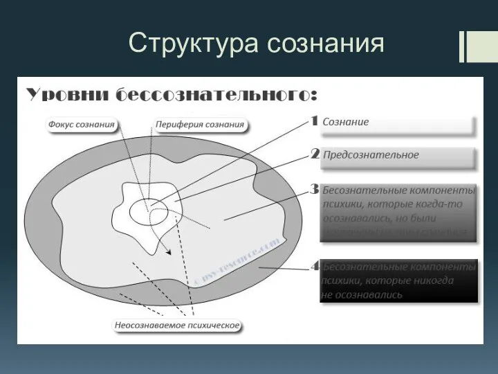 Структура сознания