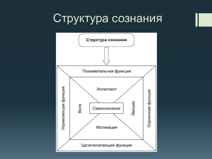 Структура сознания