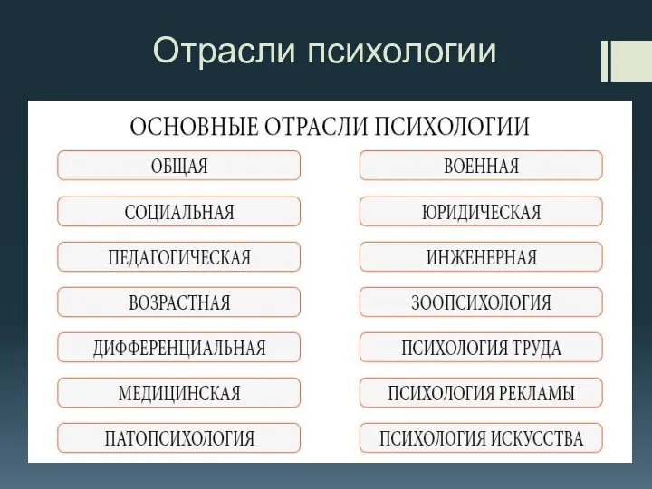 Отрасли психологии