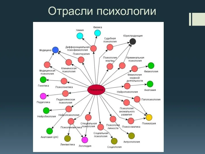 Отрасли психологии