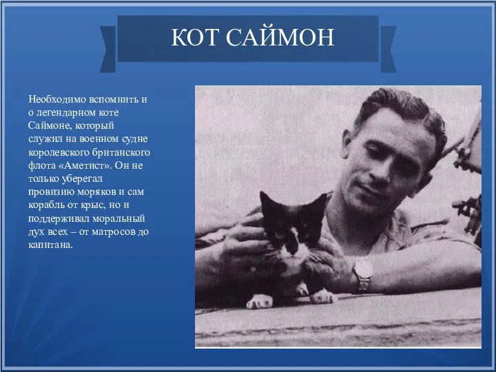 КОТ САЙМОН Необходимо вспомнить и о легендарном коте Саймоне, который служил на