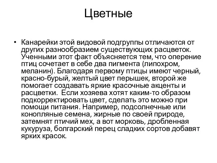 Цветные Канарейки этой видовой подгруппы отличаются от других разнообразием существующих расцветок. Ученными