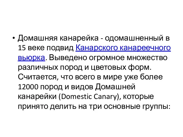 Домашняя канарейка - одомашненный в 15 веке подвид Канарского канареечного вьюрка. Выведено