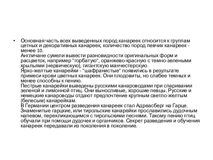 Основная часть всех выведенных пород канареек относится к группам цетных и декоративных