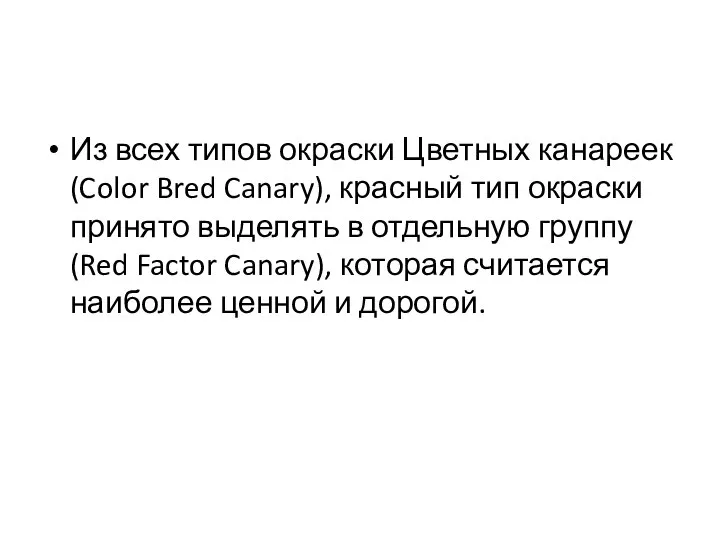 Из всех типов окраски Цветных канареек (Color Bred Canary), красный тип окраски