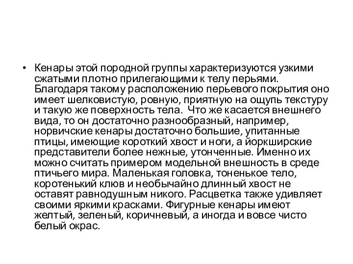 Кенары этой породной группы характеризуются узкими сжатыми плотно прилегающими к телу перьями.