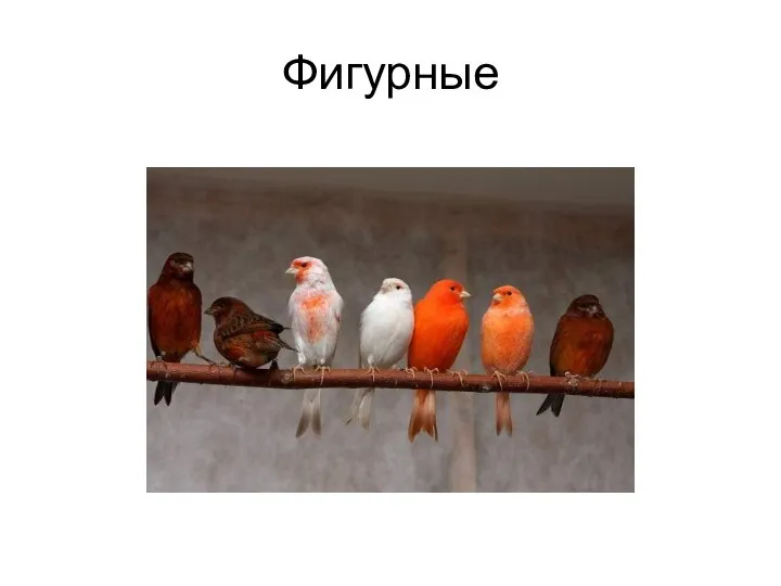 Фигурные