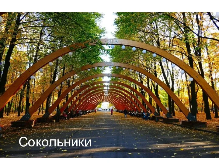 Сокольники