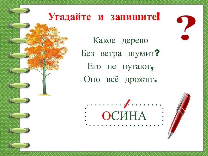 Угадайте и запишите! ОСИНА Какое дерево Без ветра шумит? Его не пугают, Оно всё дрожит.