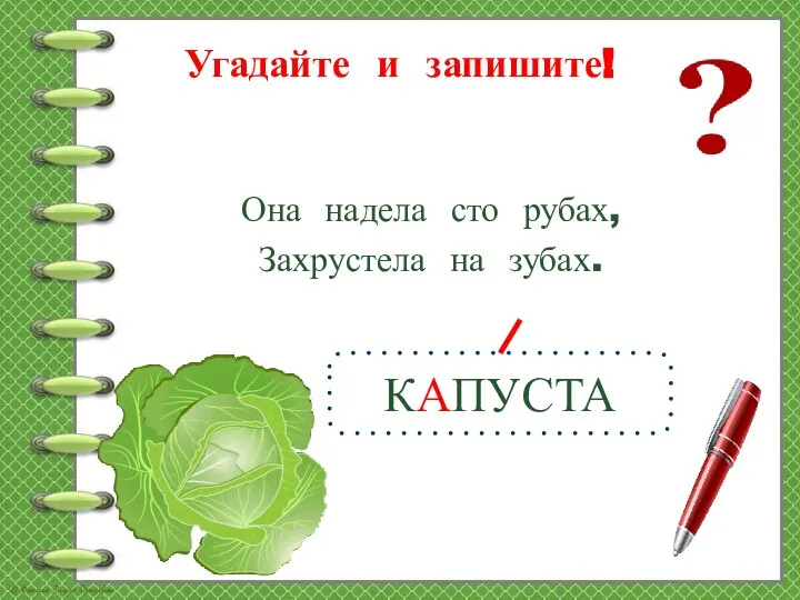 Угадайте и запишите! КАПУСТА Она надела сто рубах, Захрустела на зубах.