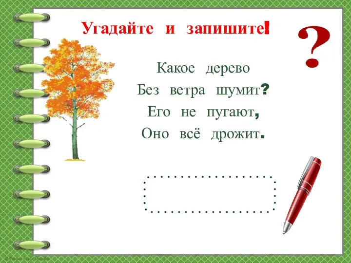 Угадайте и запишите! Какое дерево Без ветра шумит? Его не пугают, Оно всё дрожит.