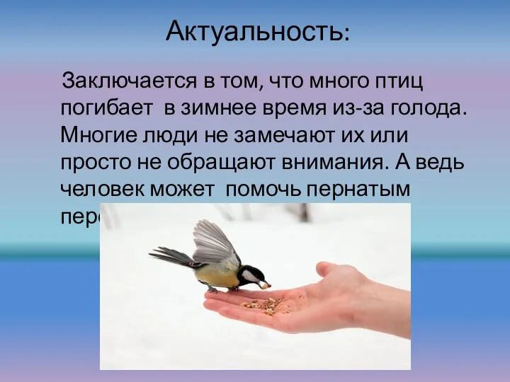 Актуальность: Заключается в том, что много птиц погибает в зимнее время из-за