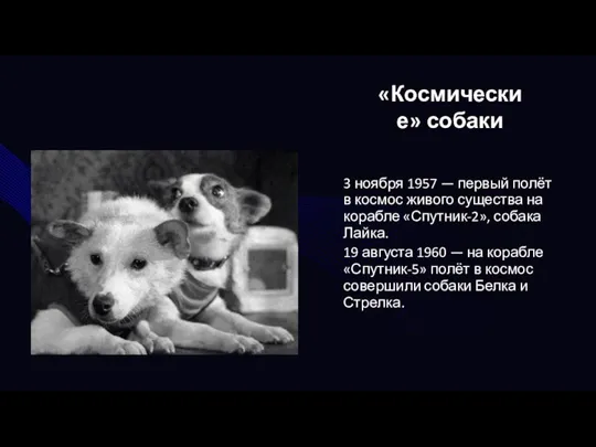 «Космические» собаки 3 ноября 1957 — первый полёт в космос живого существа