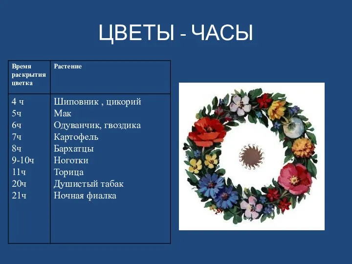 ЦВЕТЫ - ЧАСЫ