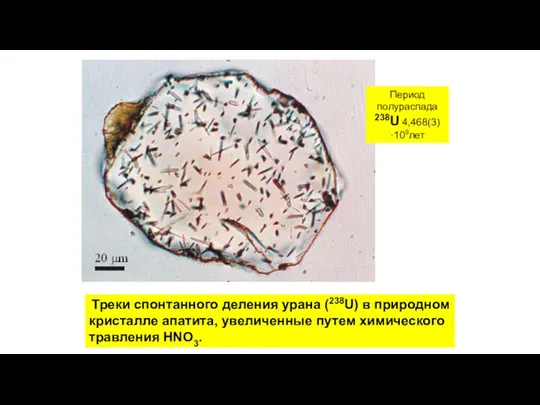 Треки спонтанного деления урана (238U) в природном кристалле апатита, увеличенные путем химического