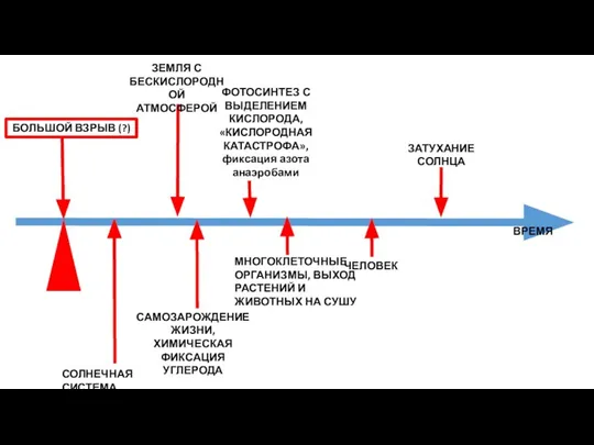 БОЛЬШОЙ ВЗРЫВ (?) САМОЗАРОЖДЕНИЕ ЖИЗНИ, ХИМИЧЕСКАЯ ФИКСАЦИЯ УГЛЕРОДА СОЛНЕЧНАЯ СИСТЕМА ВРЕМЯ МНОГОКЛЕТОЧНЫЕ