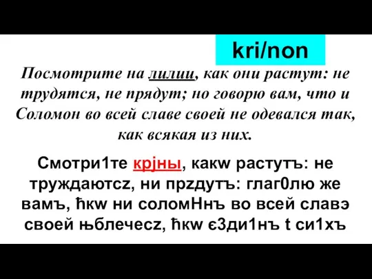 Посмотрите на лилии, как они растут: не трудятся, не прядут; но говорю